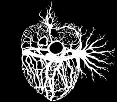 bioMECI